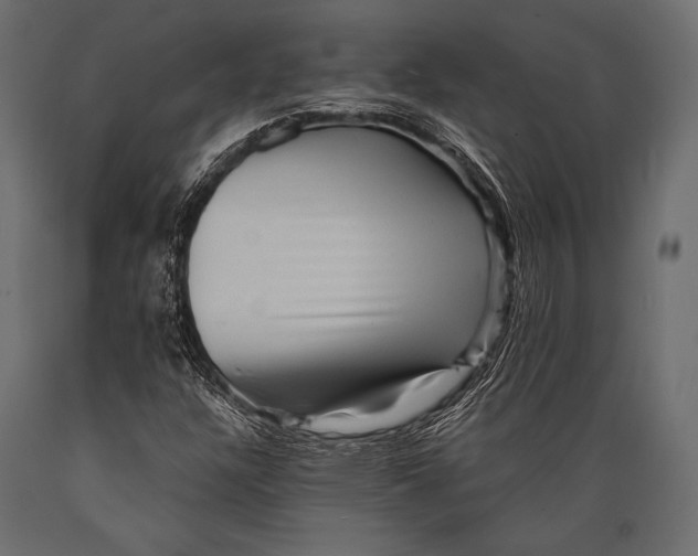 X0000088861304200706291508
