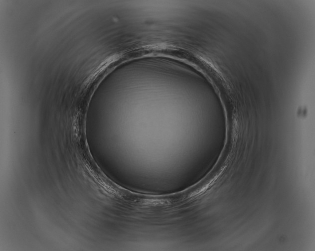 X0000088861305200706291508