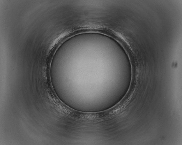 X0000088861307200706291508