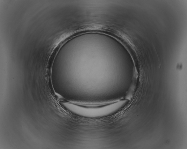 X0000088861308200706291508