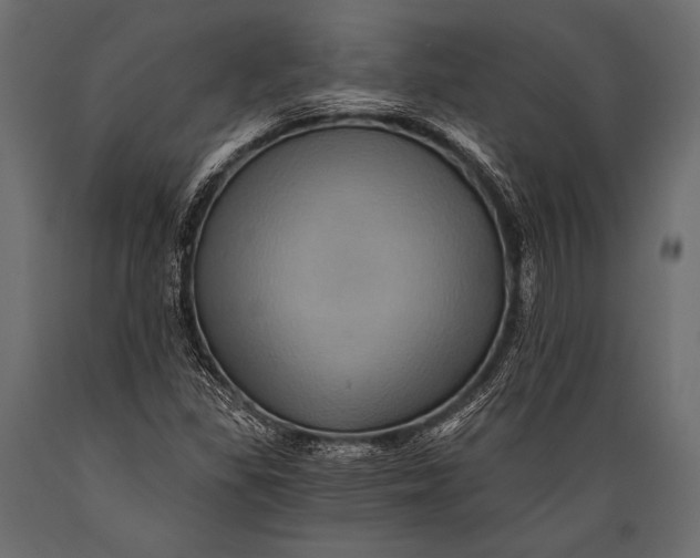 X0000088861309200706291508