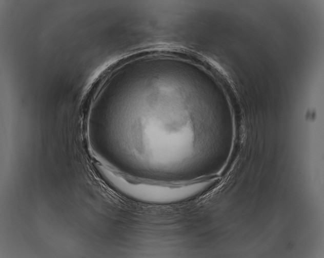 X0000088861310200706291508