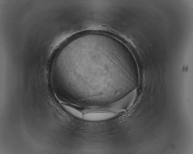 X0000088861311200706291509