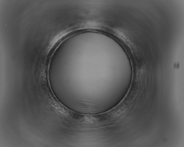 X0000088861312200706291509