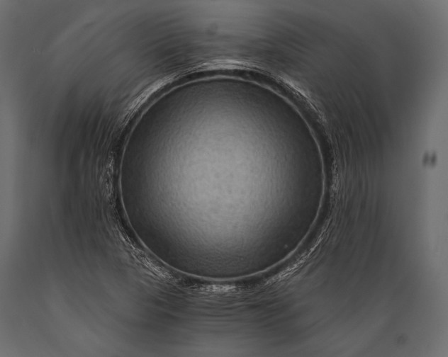 X0000088861313200706291509