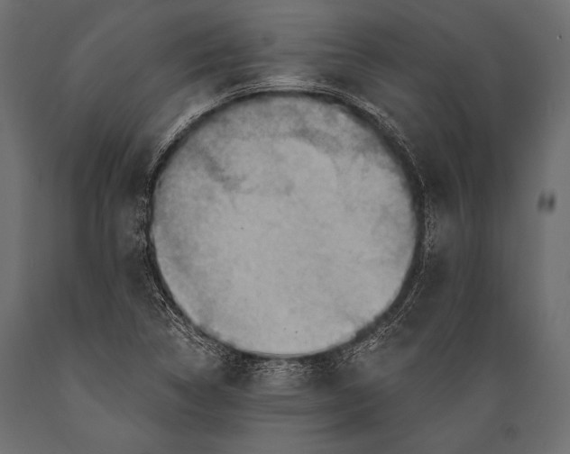 X0000088861314200706291509