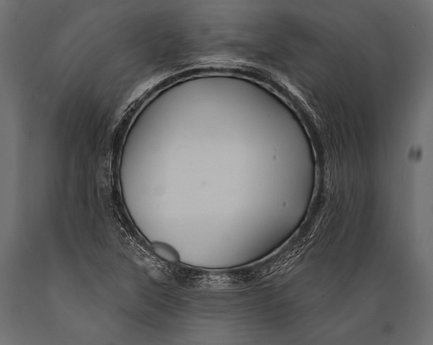 X0000088861315200706291509