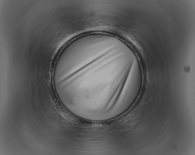 X0000088861316200706291509