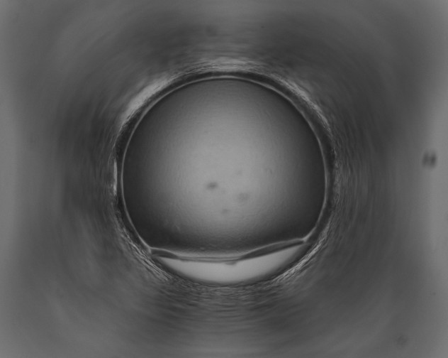 X0000088861317200706291509