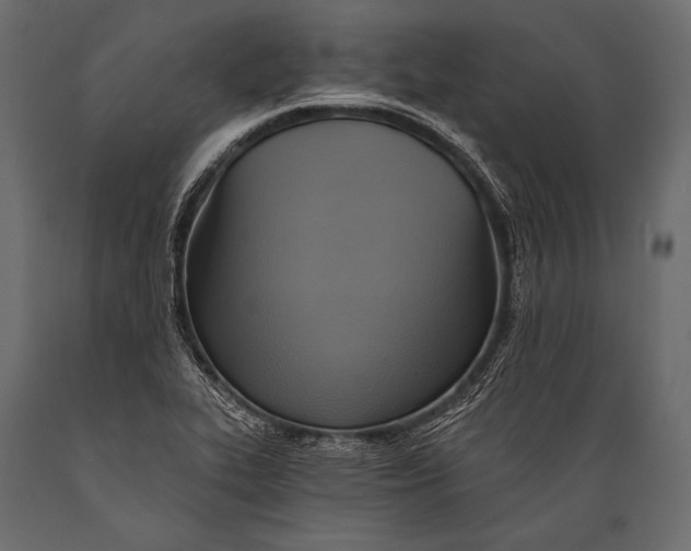 X0000088861319200706291509