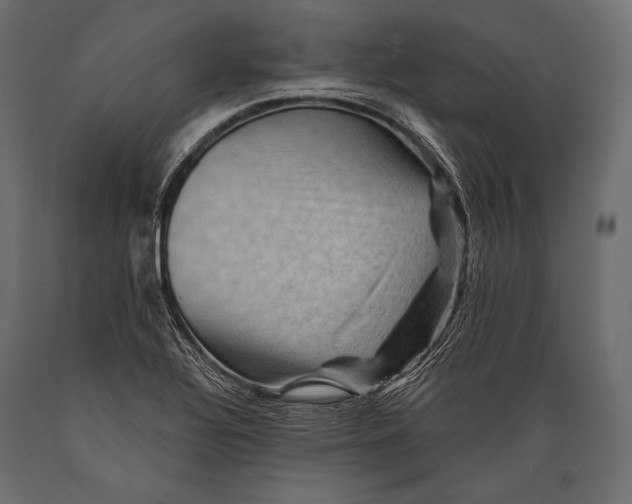 X0000088861320200706291509