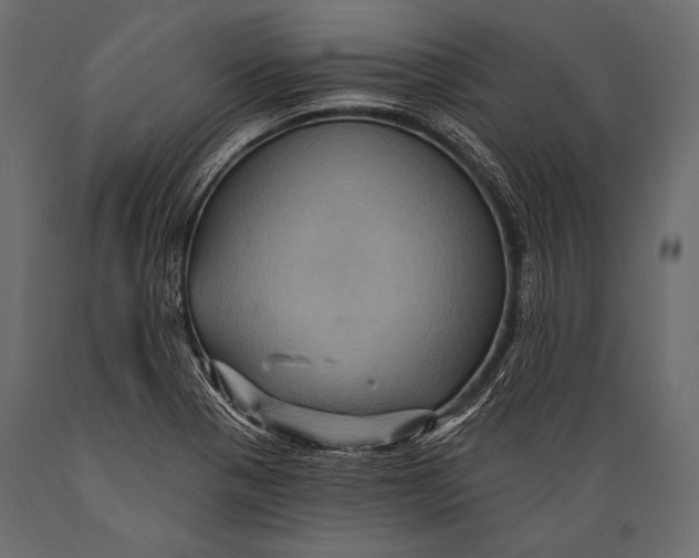 X0000088861321200706291509