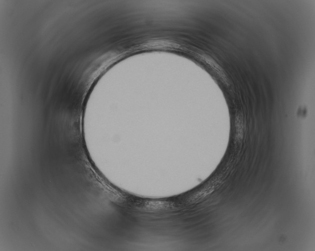 X0000088861322200706291509