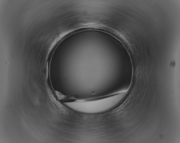 X0000088861323200706291509
