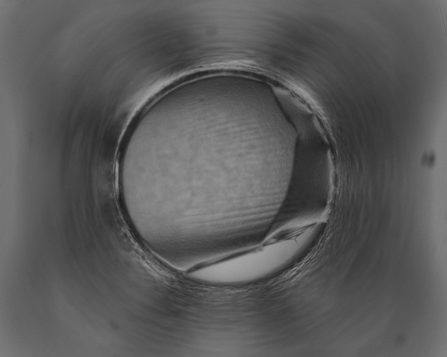 X0000088861324200706291509
