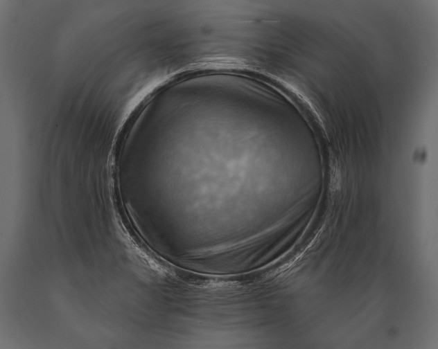 X0000088861325200706291509