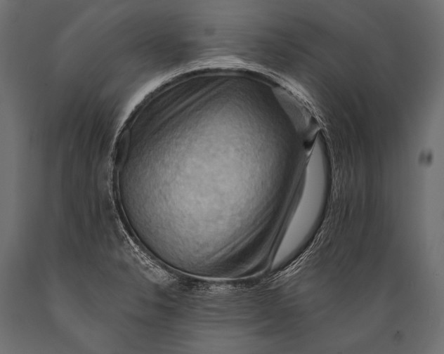 X0000088861326200706291509