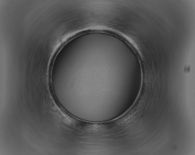 X0000088861327200706291509