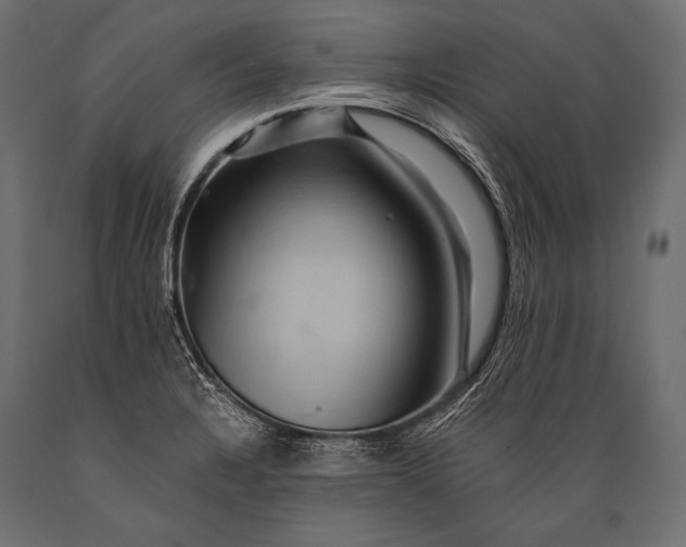 X0000088861328200706291509