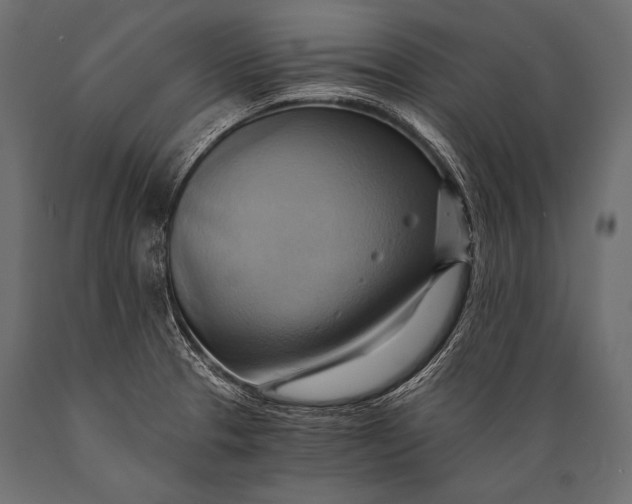 X0000088861329200706291509