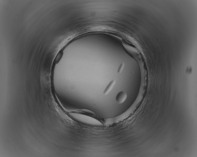 X0000088861330200706291509