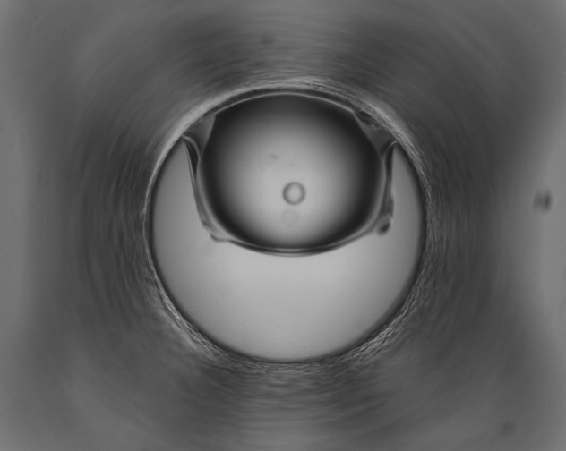 X0000088861332200706291509