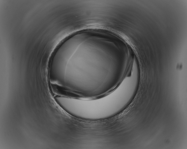 X0000088861334200706291509