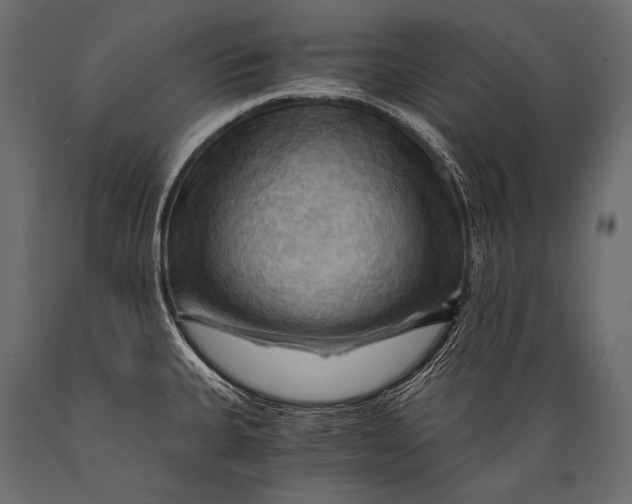 X0000088861335200706291509