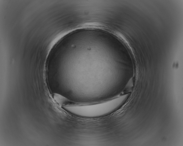 X0000088861336200706291509