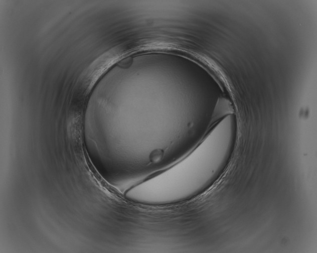 X0000088861337200706291509