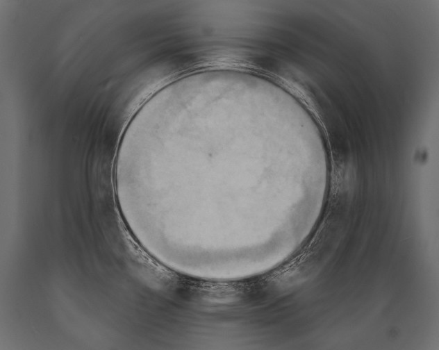 X0000088861338200706291509