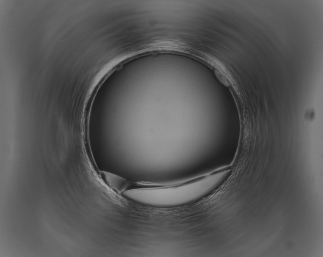 X0000088861339200706291509