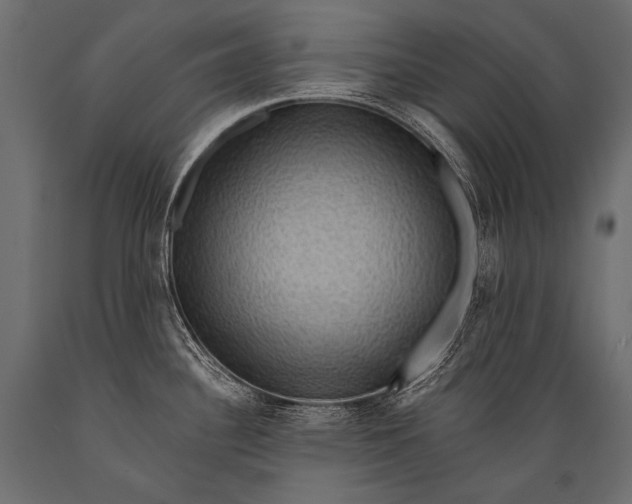 X0000088861340200706291509
