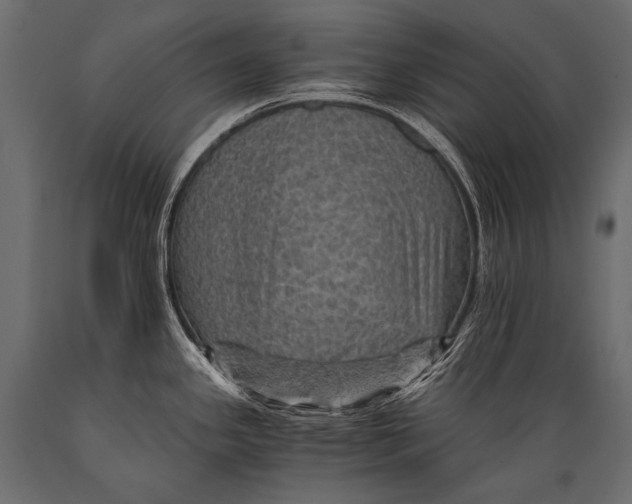 X0000088861341200706291509