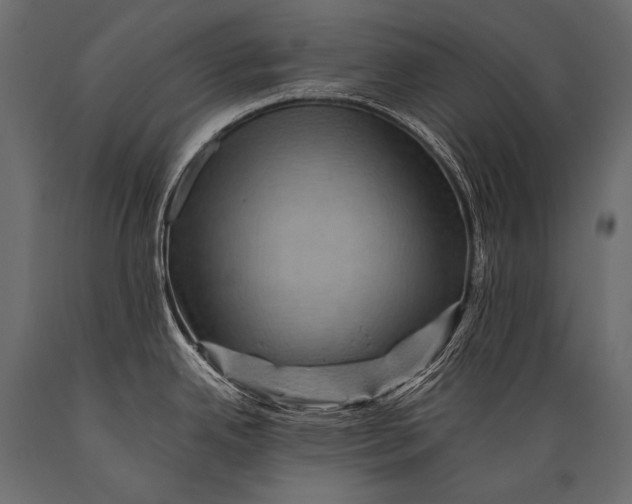X0000088861342200706291509