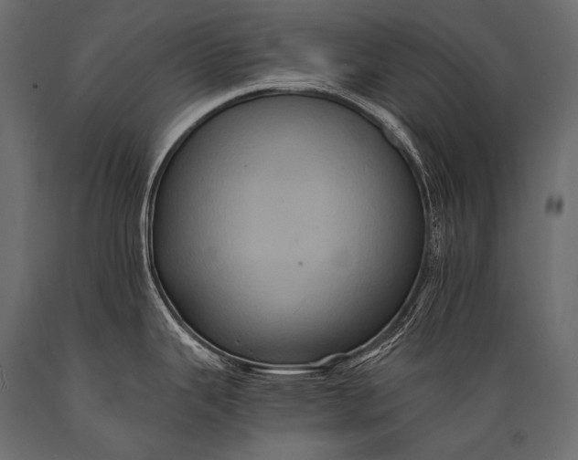 X0000088861343200706291509