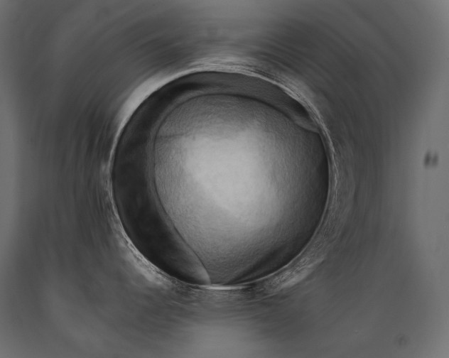 X0000088861344200706291509