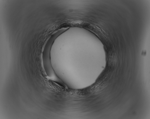 X0000088861345200706291508