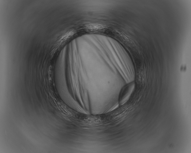 X0000088861346200706291508