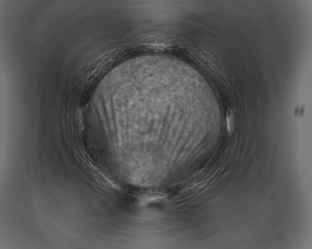 X0000088861347200706291508
