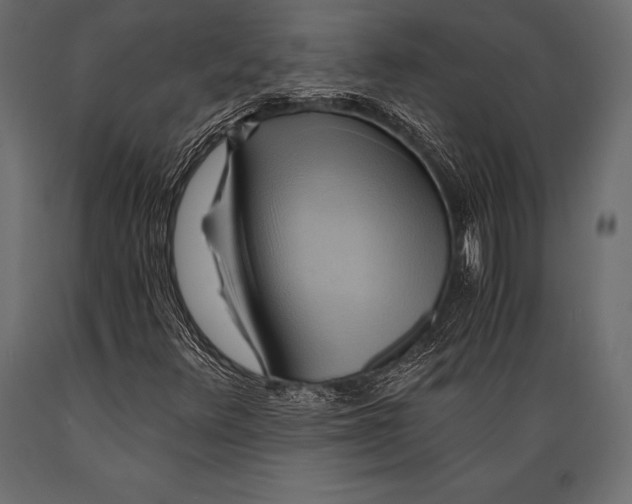 X0000088861348200706291508