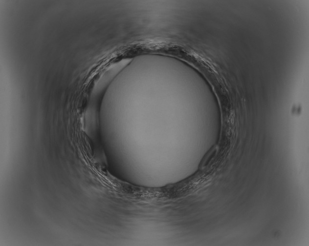 X0000088861349200706291508