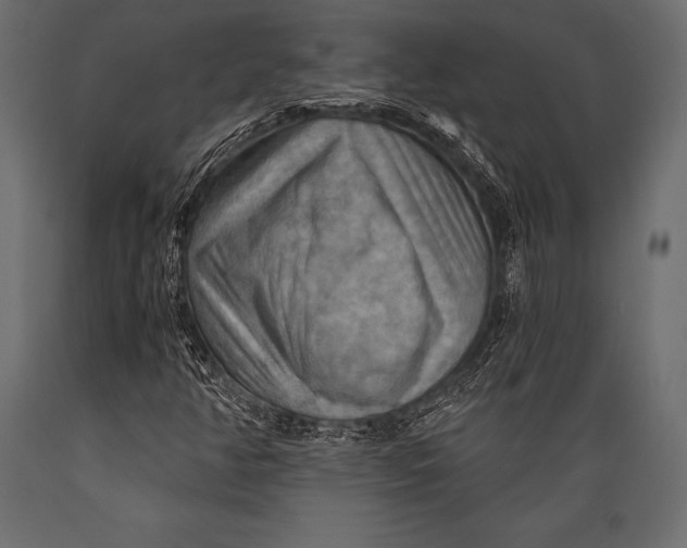 X0000088861350200706291508