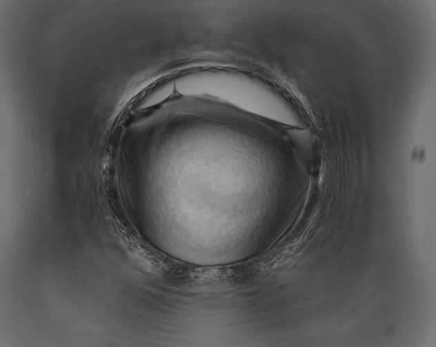 X0000088861352200706291508