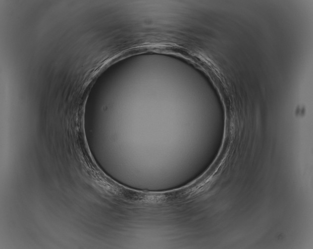 X0000088861353200706291508