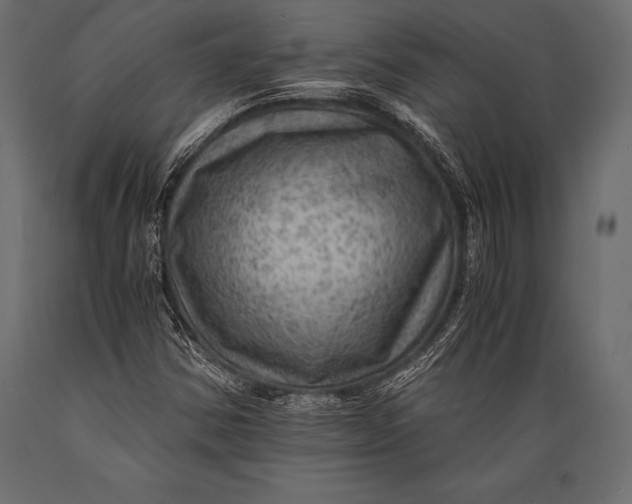X0000088861354200706291508