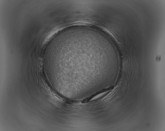 X0000088861355200706291508