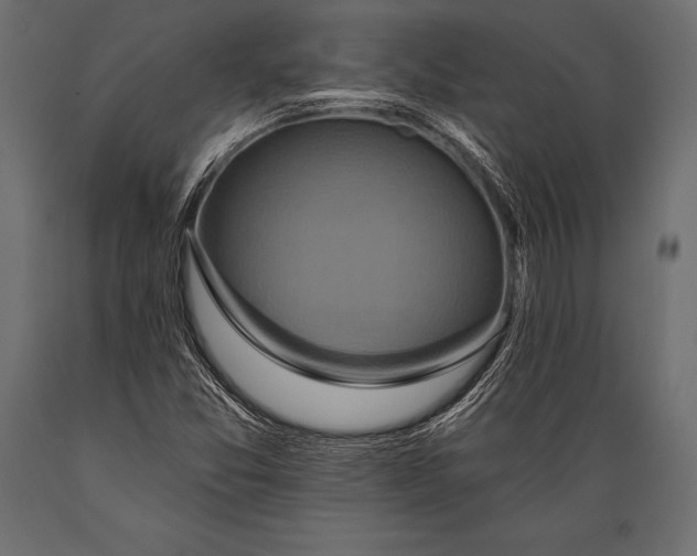 X0000088861357200706291508