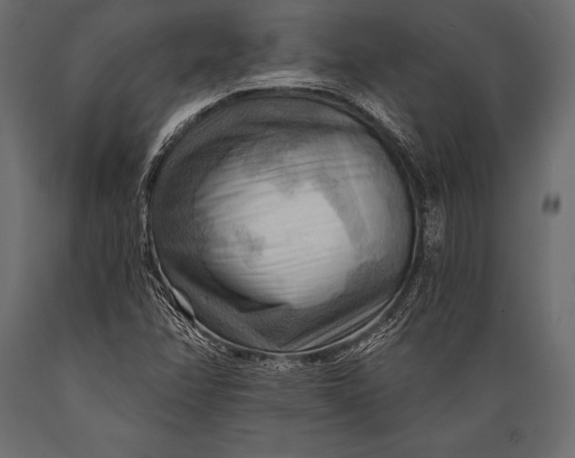 X0000088861358200706291508