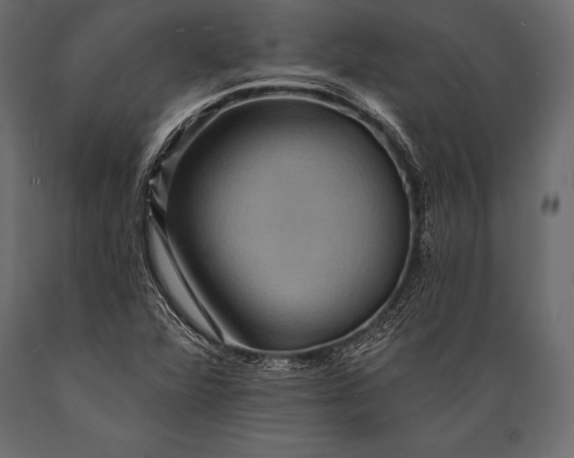X0000088861360200706291508